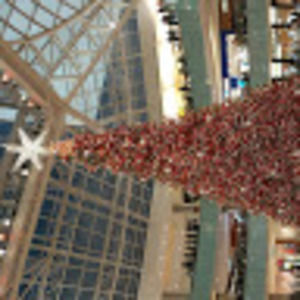 Meet your Posher, Alfredo